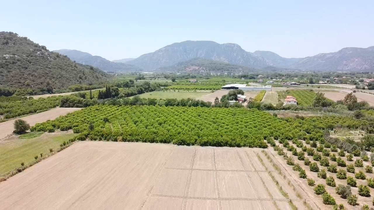 Property-photo