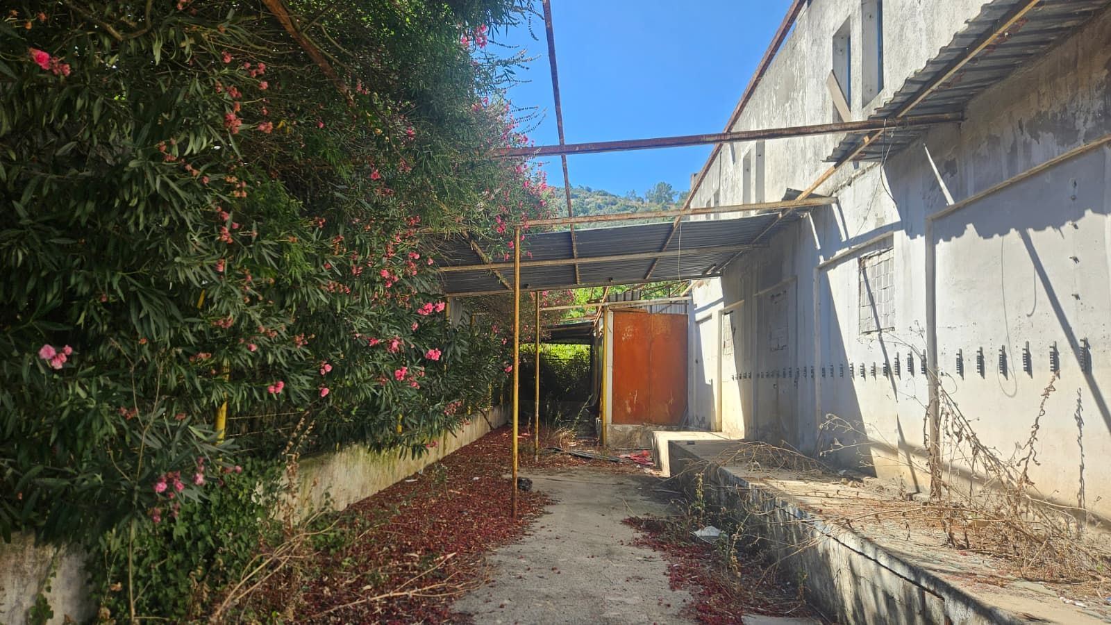 Property-photo