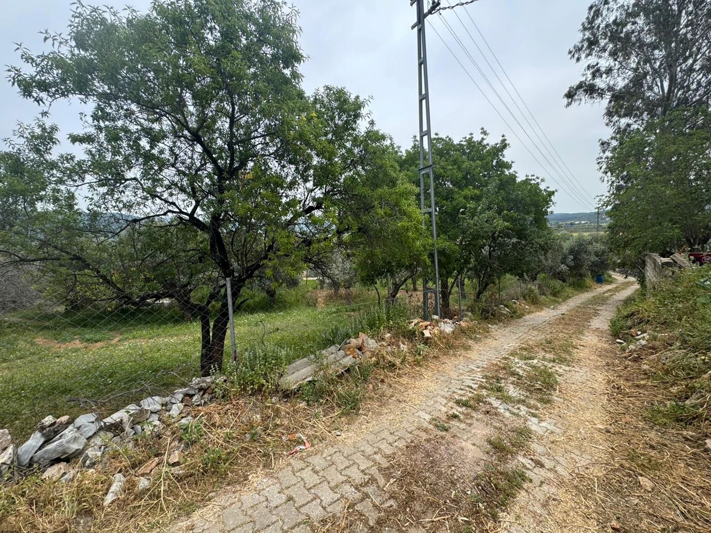 Property-photo