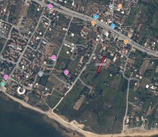 CM GROUP INVEST-Düzlerde İçinde Ev olan Denize Yakın Zeytinlik
