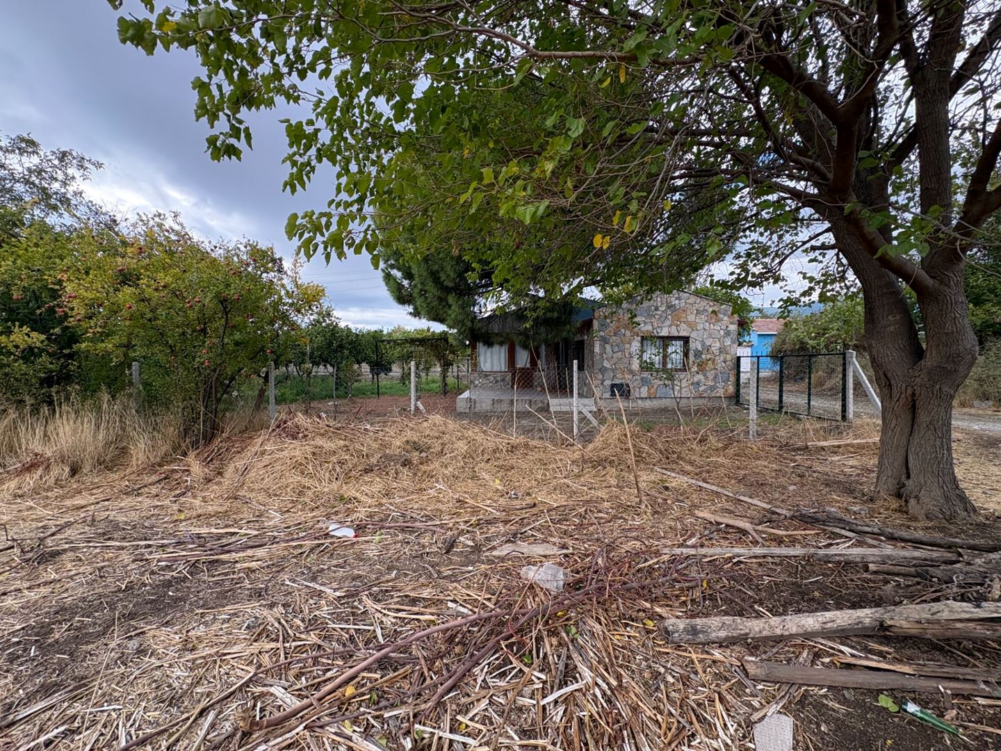 Property-photo