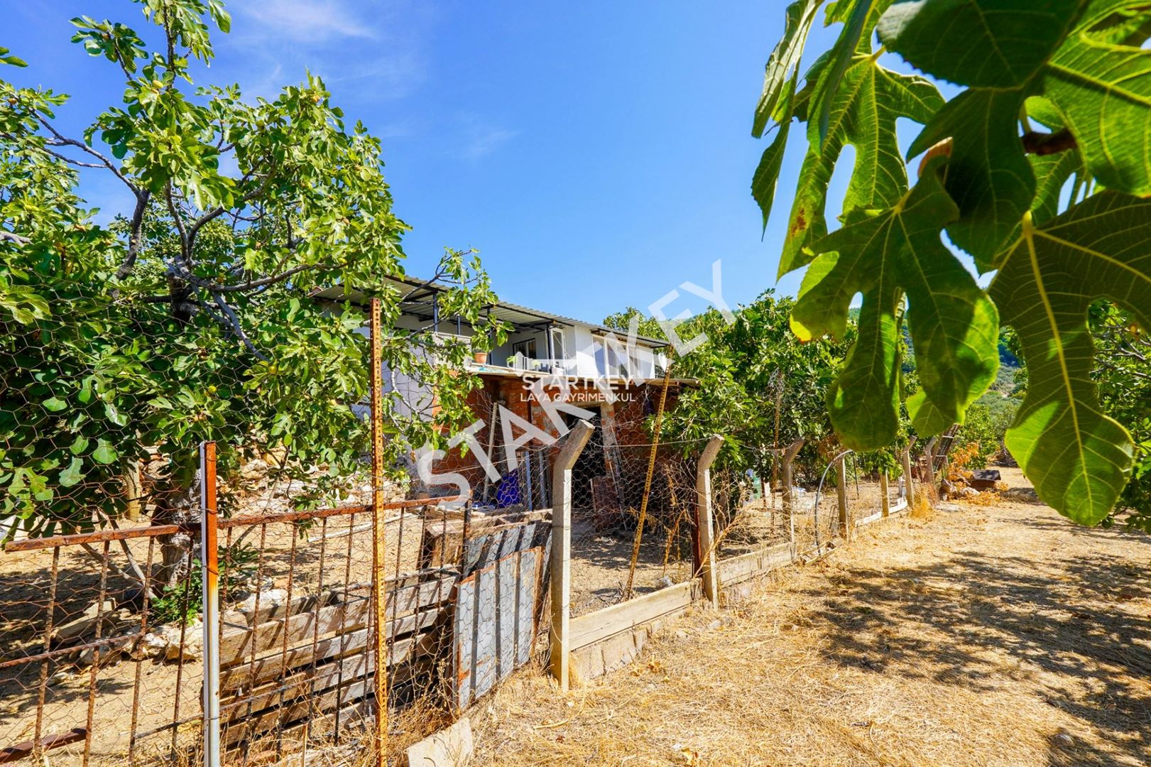Property-photo