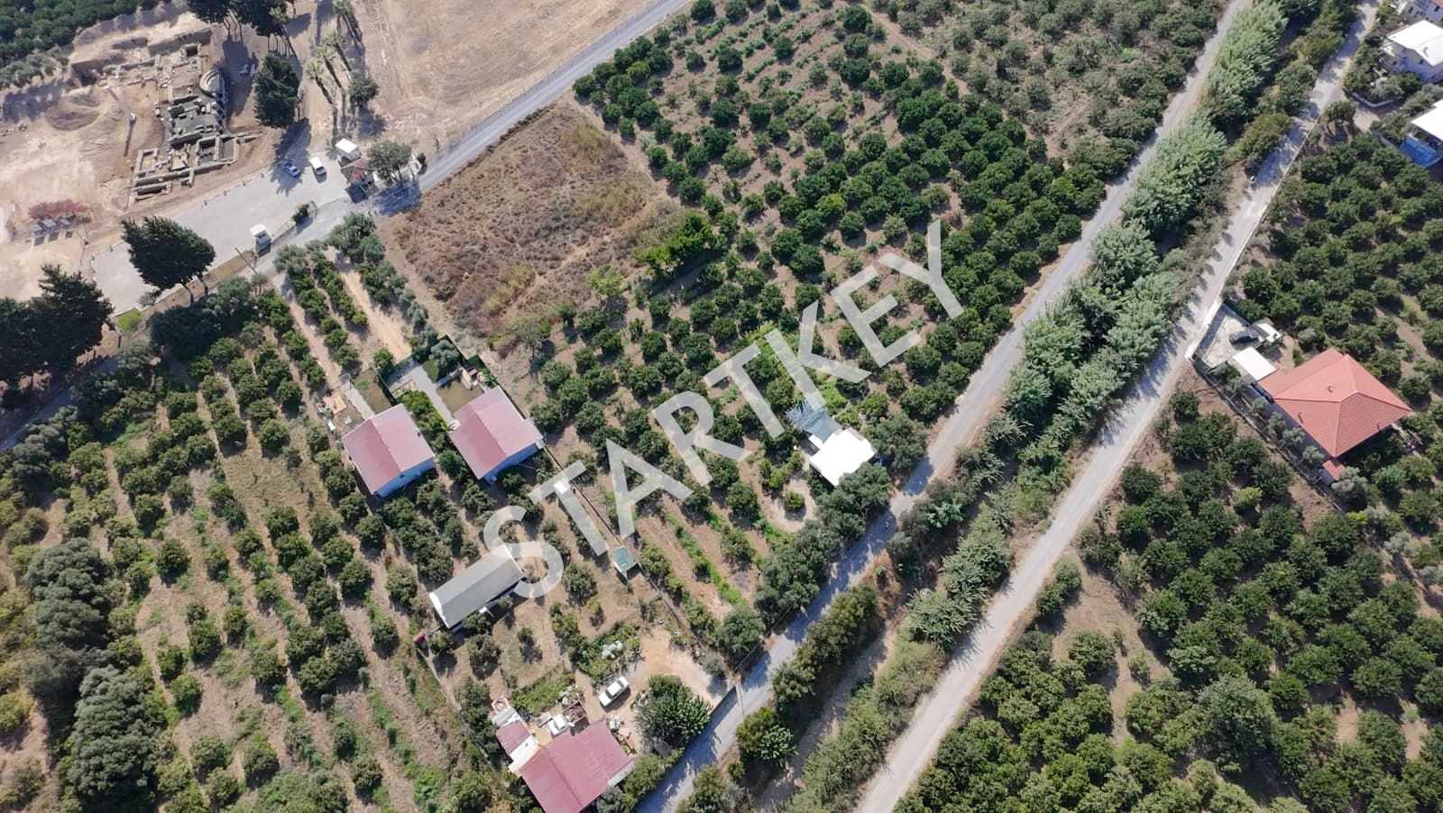 Property-photo
