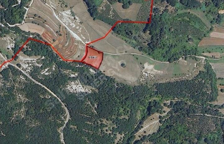 Şener GYD'den Çok Uygun Fiyata, Satılık, Yolu Olan Arsa