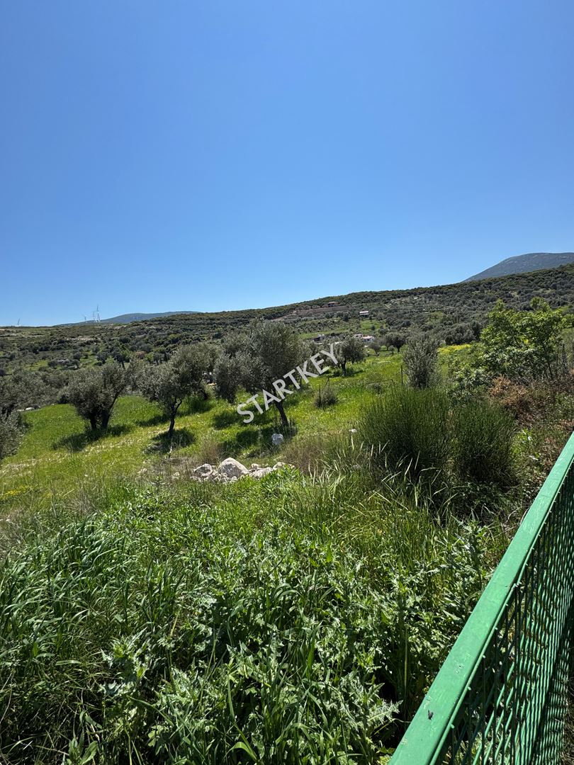 Property-photo