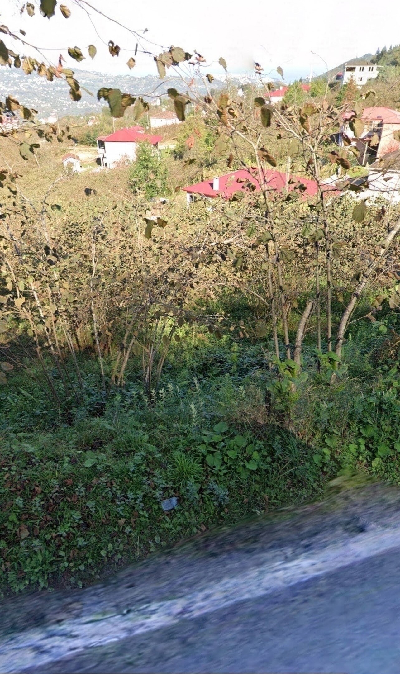 Property-photo