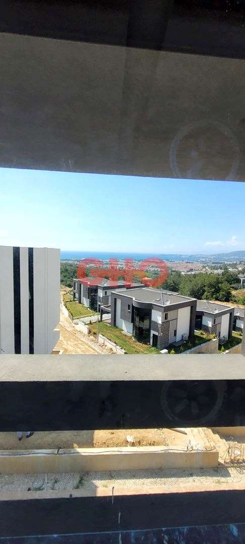sex izle reklamsız