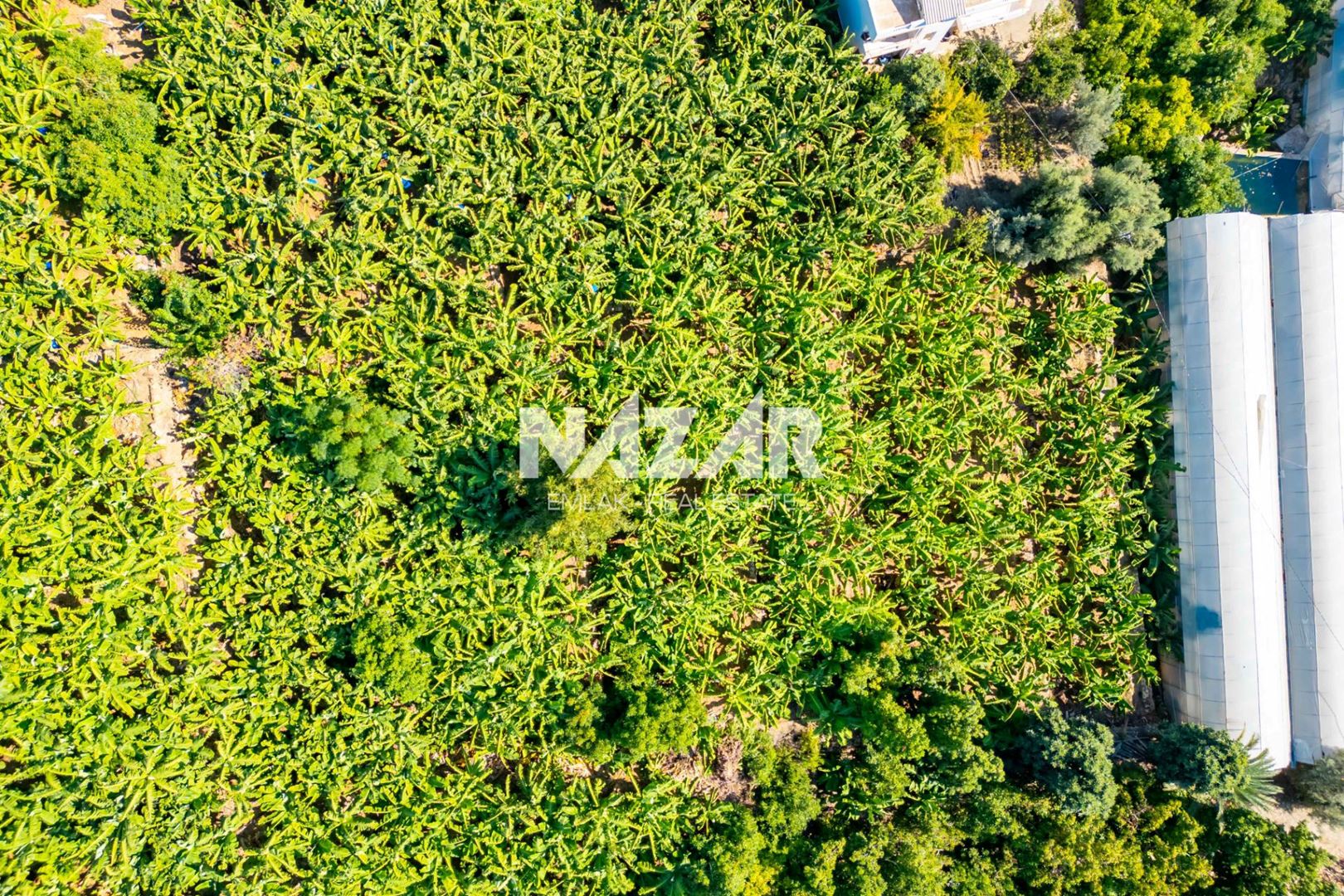 Alanya İshaklı’da 1.665 m2 Deniz Manzaralı Tarla · 17