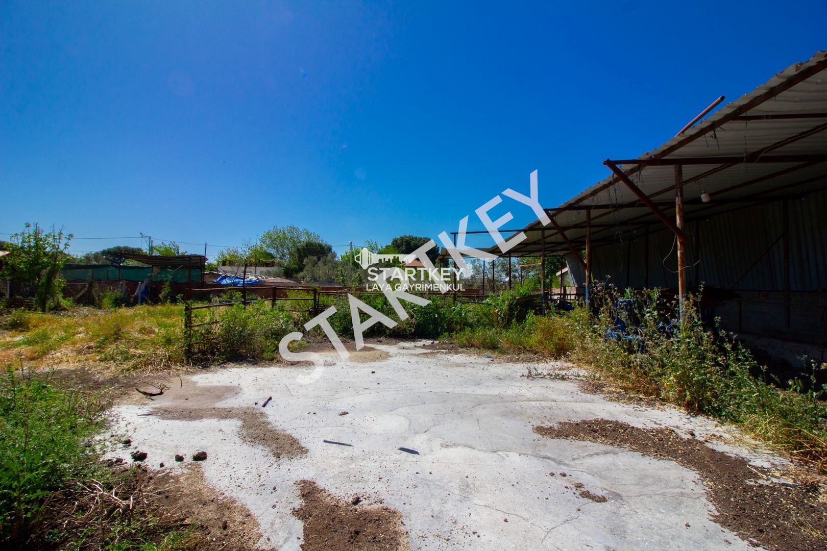 Property-photo