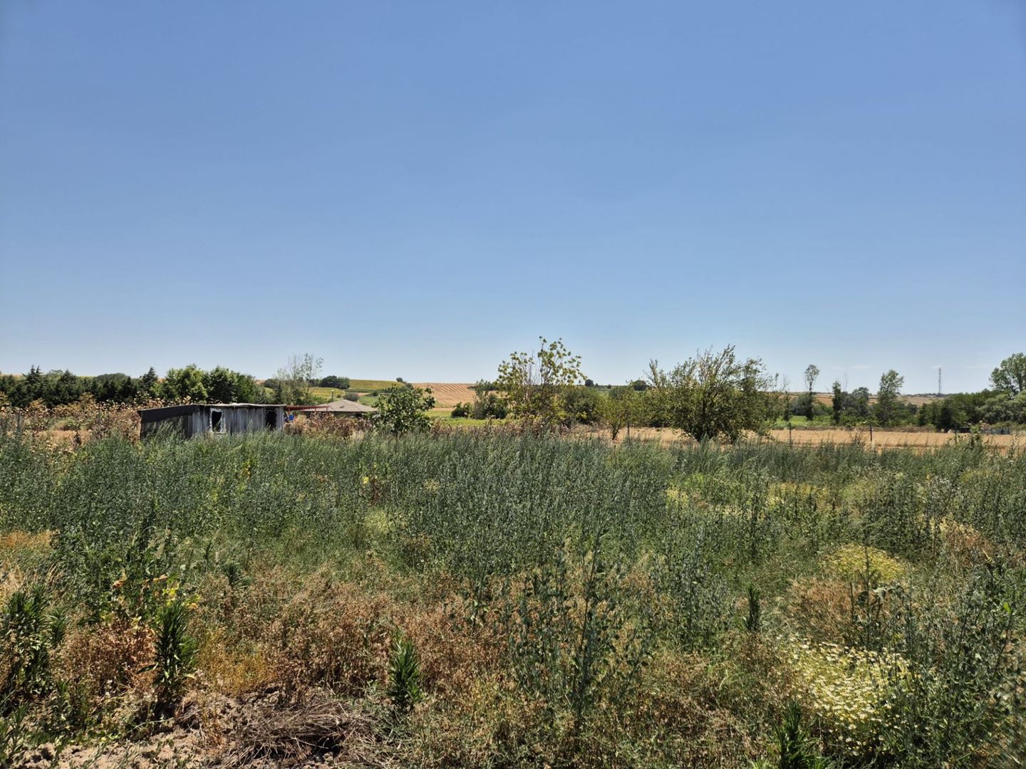 Property-photo