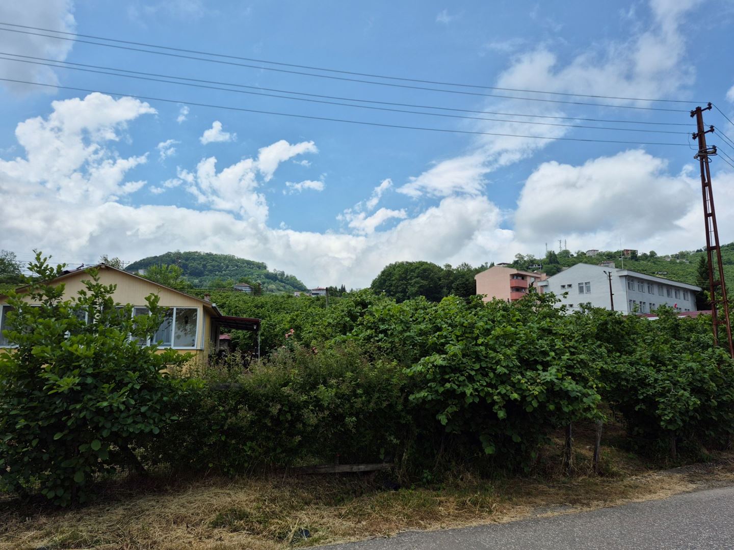 Property-photo