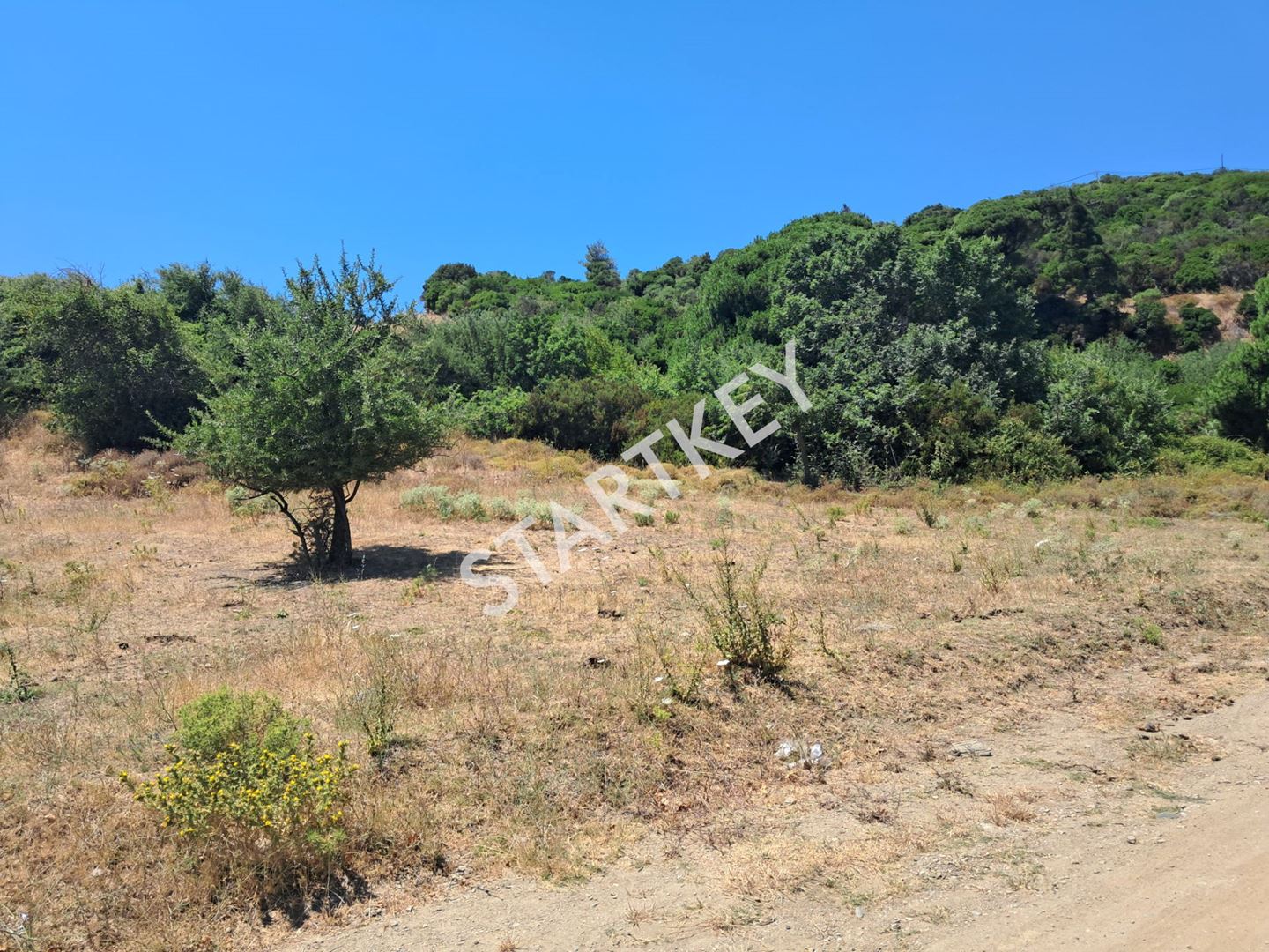 Property-photo