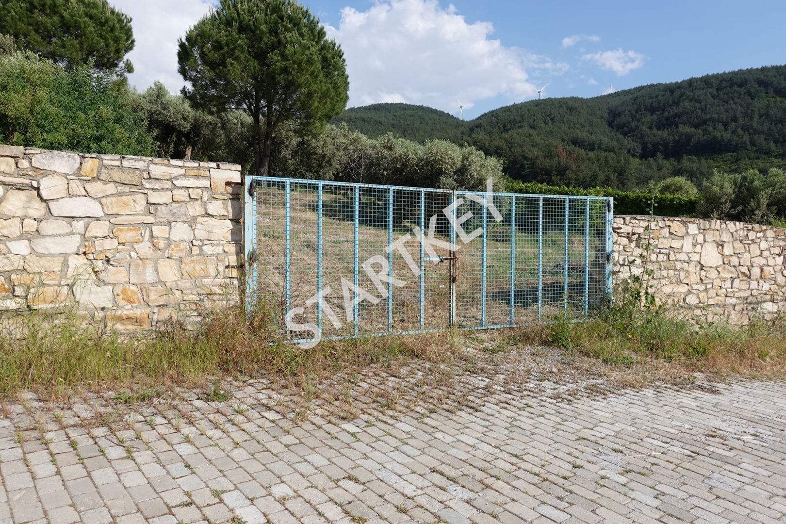 Property-photo