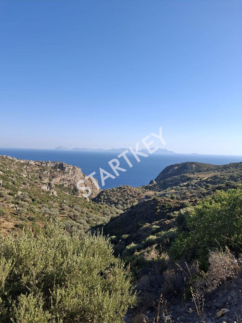 Datça Yazı Mah. Deniz Manzaralı Tarla — kare 3