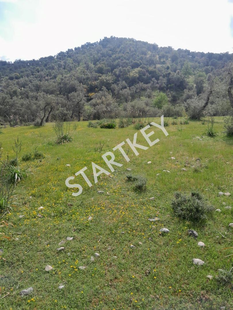 Property-photo
