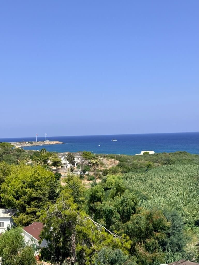 İlan