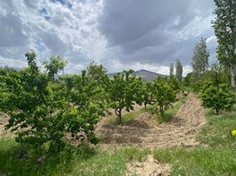 DİLEK CENGİZOĞLU'NDAN NİĞDE ULUKIŞLA'DA SATILIK BAHÇE!