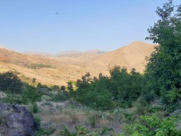 POZANTI KARAKIŞLAKÇI'DA 1682 M2 SATILIK BAHÇE/BAĞ