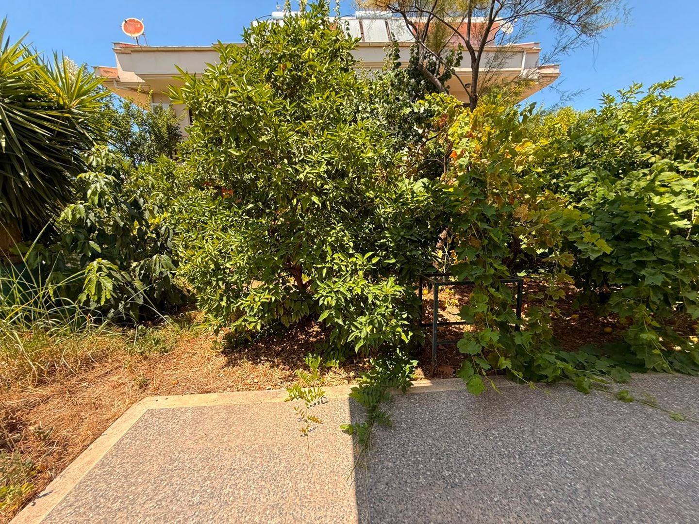 Property-photo