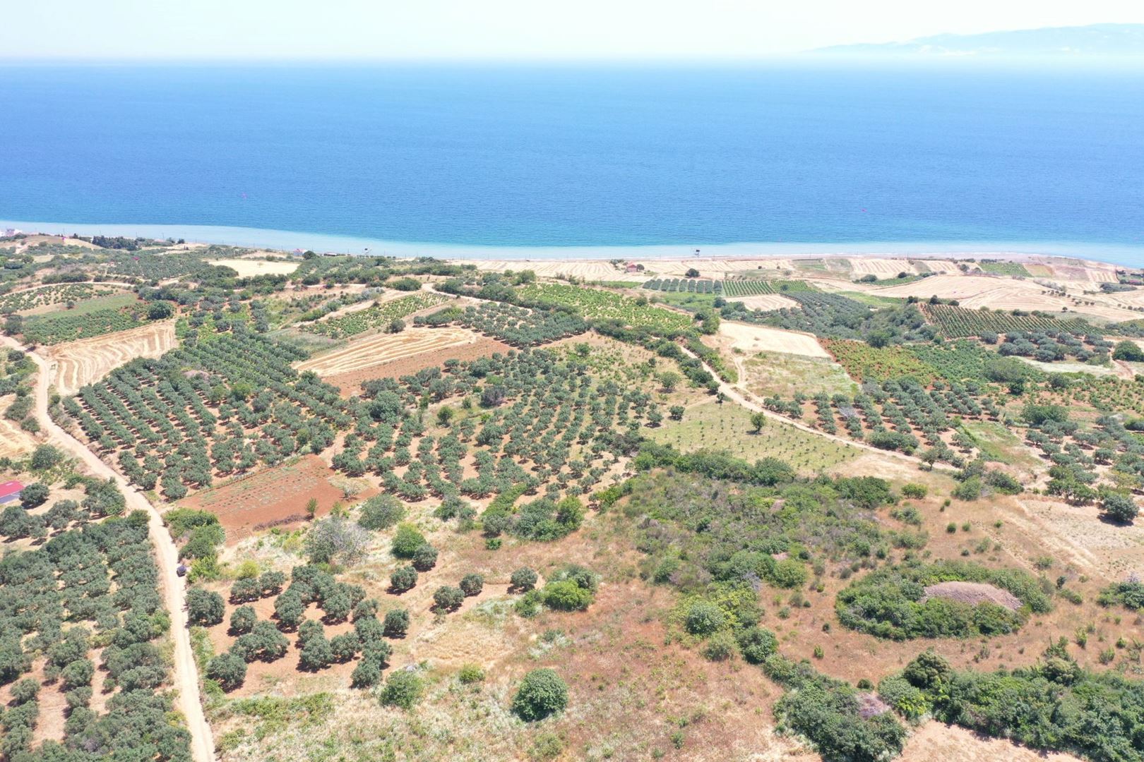Property-photo