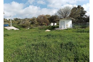property-1