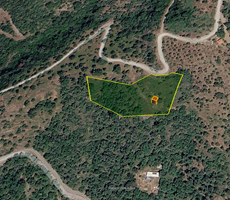 GÜZELBAHÇE PAYAMLI’DA İÇİNDE EVİ OLAN ZEYTİNLİK