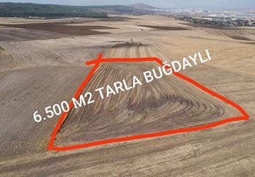 BALIKESİR GÖNEN BUĞDAYLI MAH. SATILIK TARLA