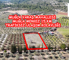 Muğla Merkez Yaraş Köyü'nde elektriğe çok yakın tarla