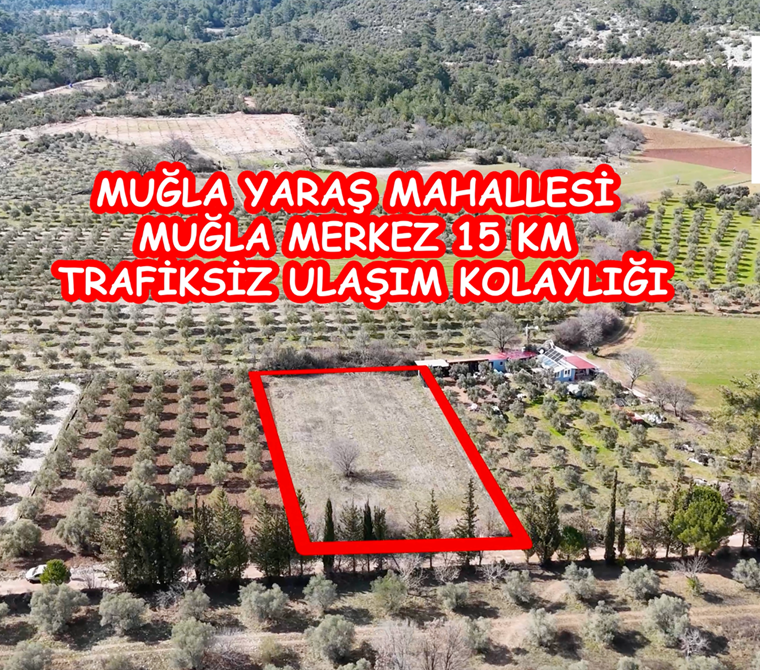 Muğla Merkez Yaraş Köyü'nde elektriğe çok yakın tarla