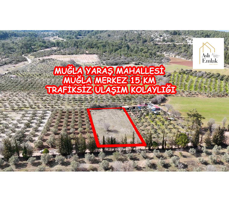 Muğla Merkez Yaraş Köyü'nde elektriğe çok yakın tarla