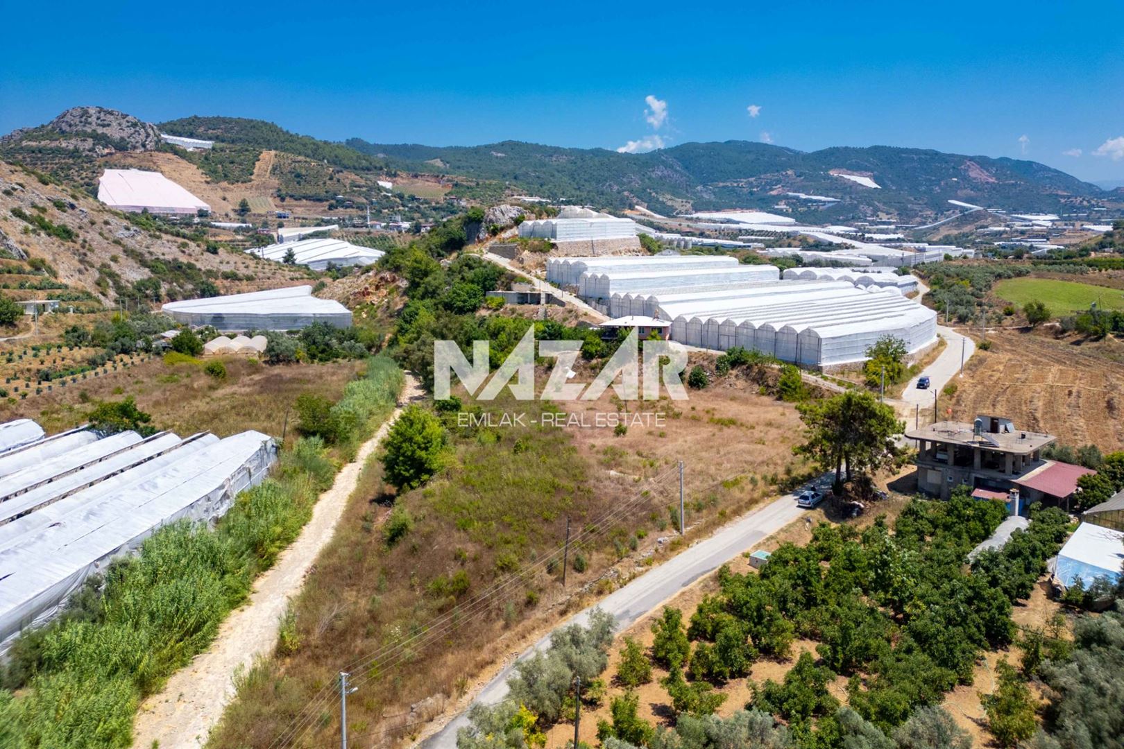 Property-photo
