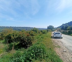 RW BUDUR’DAN ÇEVLİK’TE 2376 M2 ALANA SAHİP SATILIK LİMON BAHÇESİ