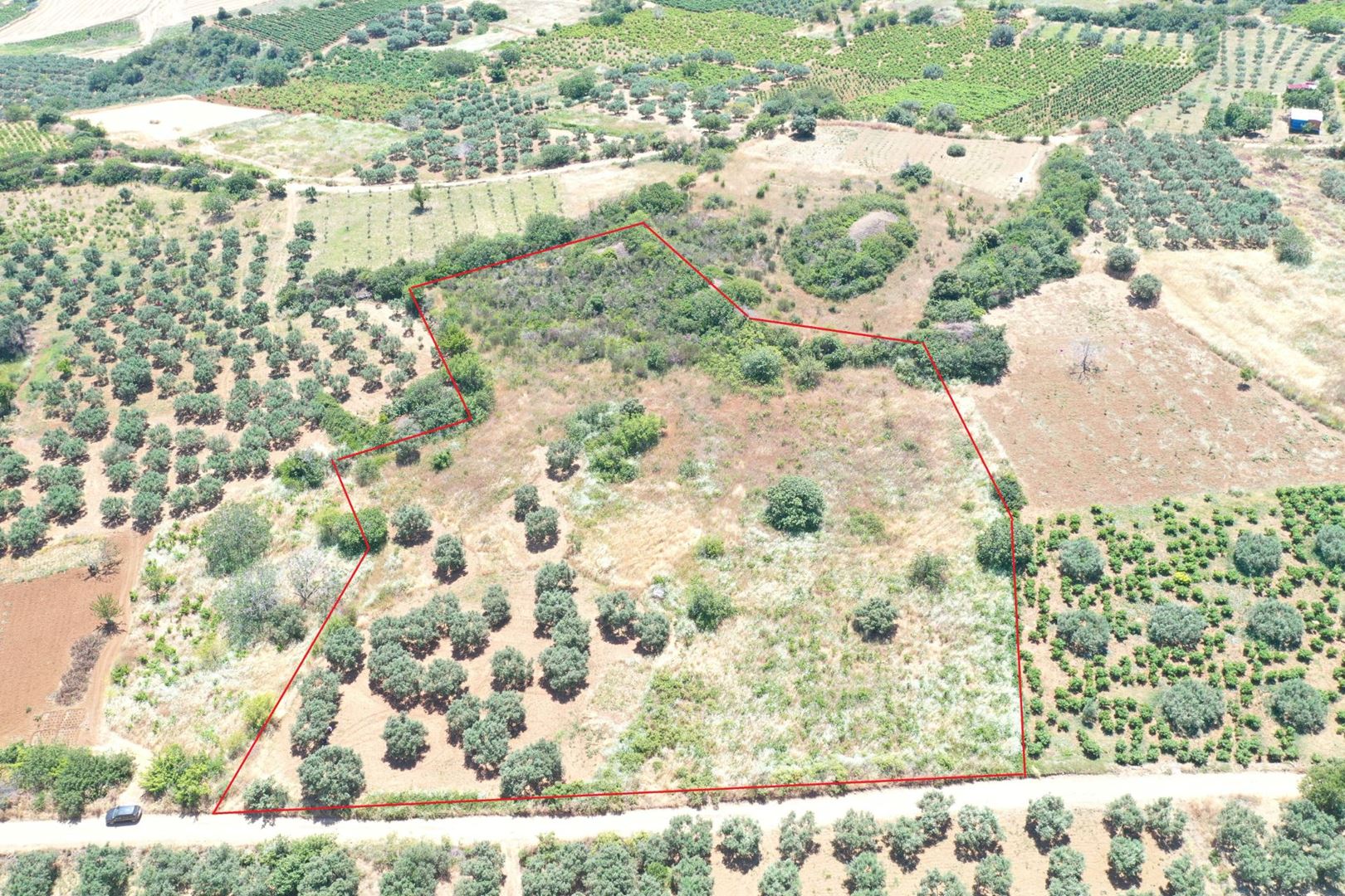 Property-photo