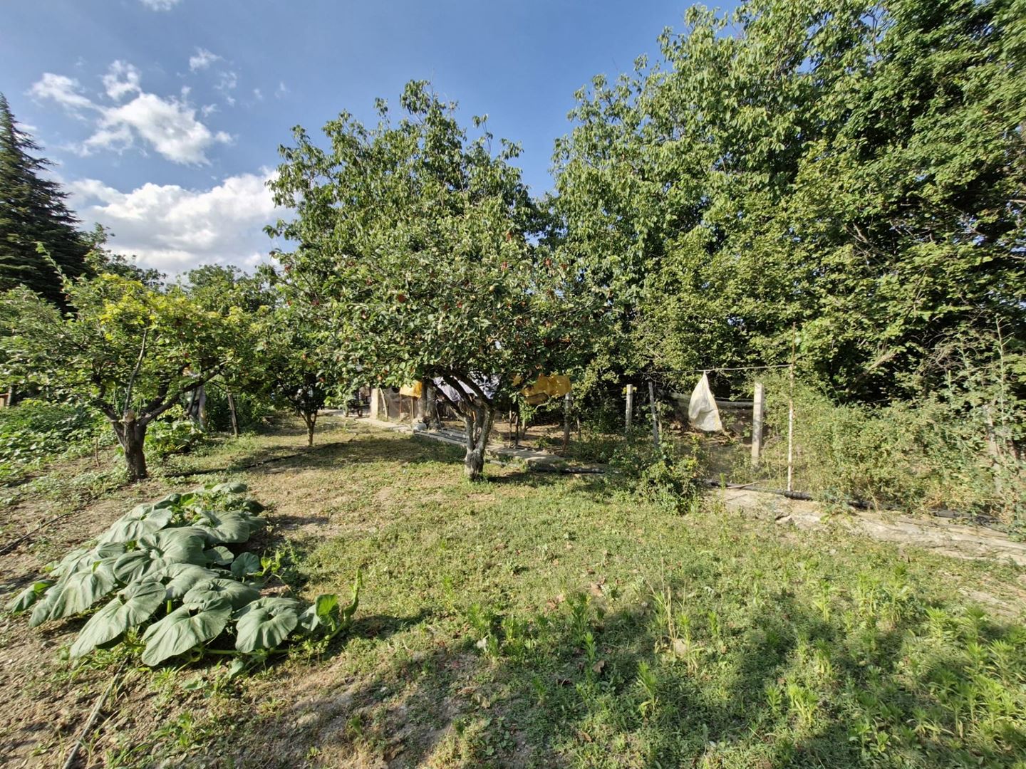 Property-photo