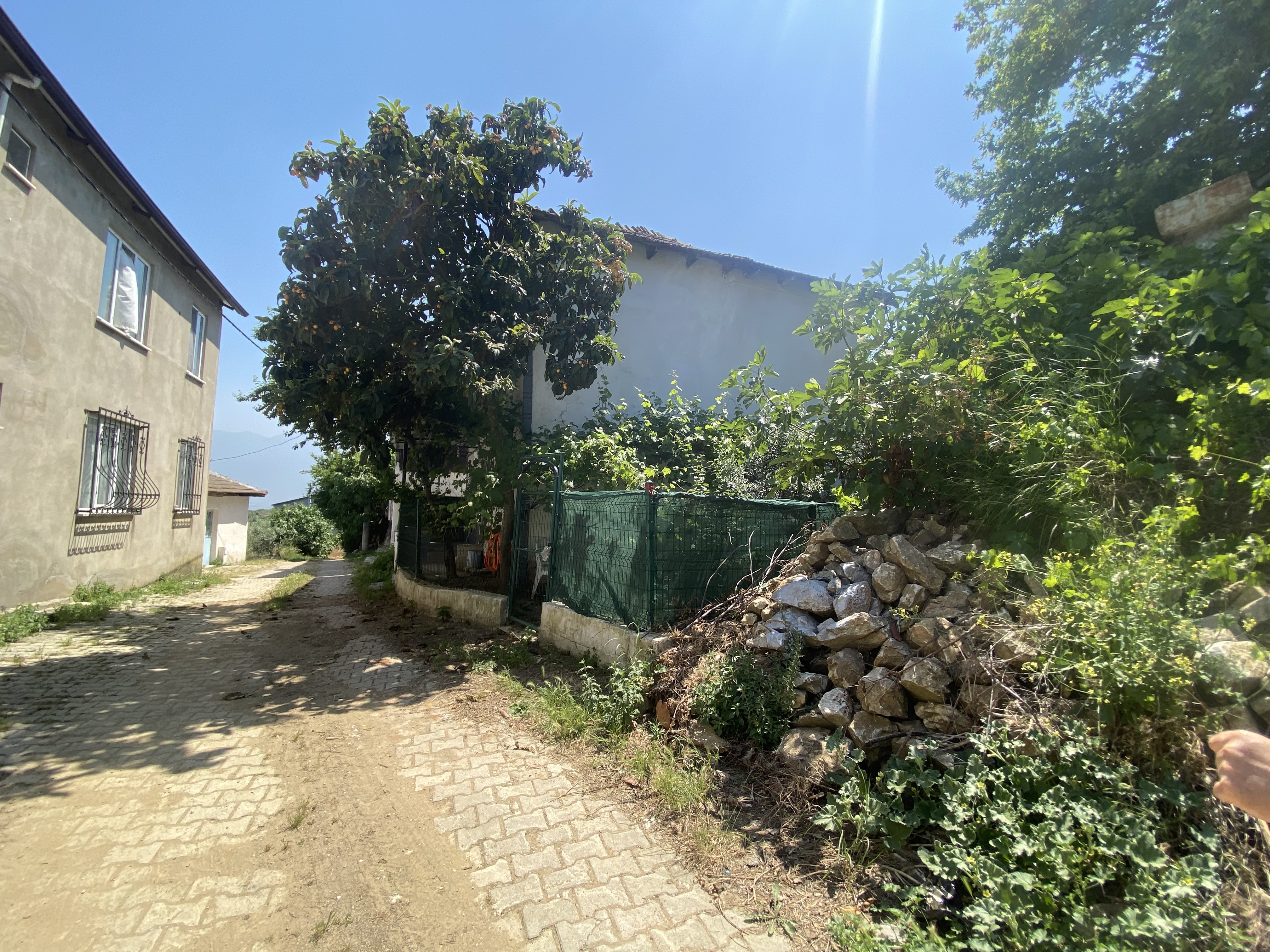 Property-photo