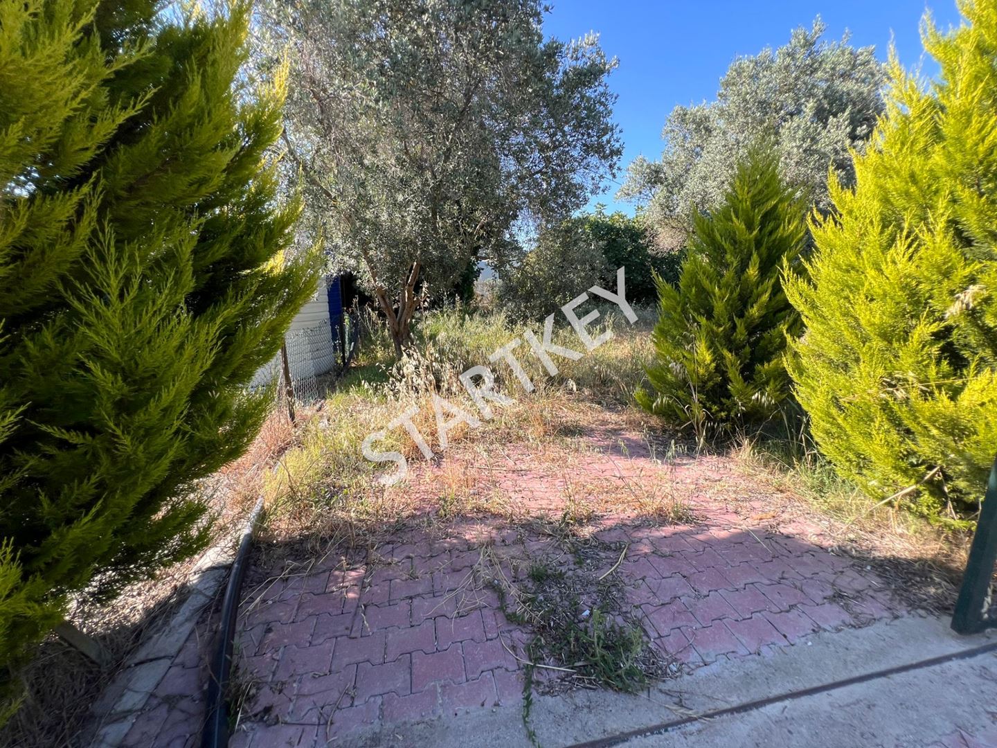 Property-photo