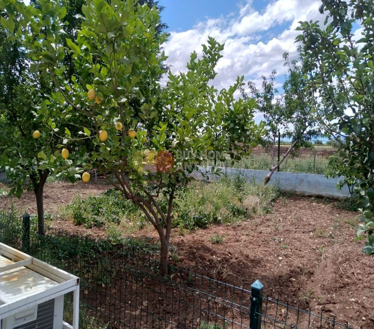 Detached Villa and Fruit Garden for Sale in Antalya Döşemealtı Close to the River and Highway