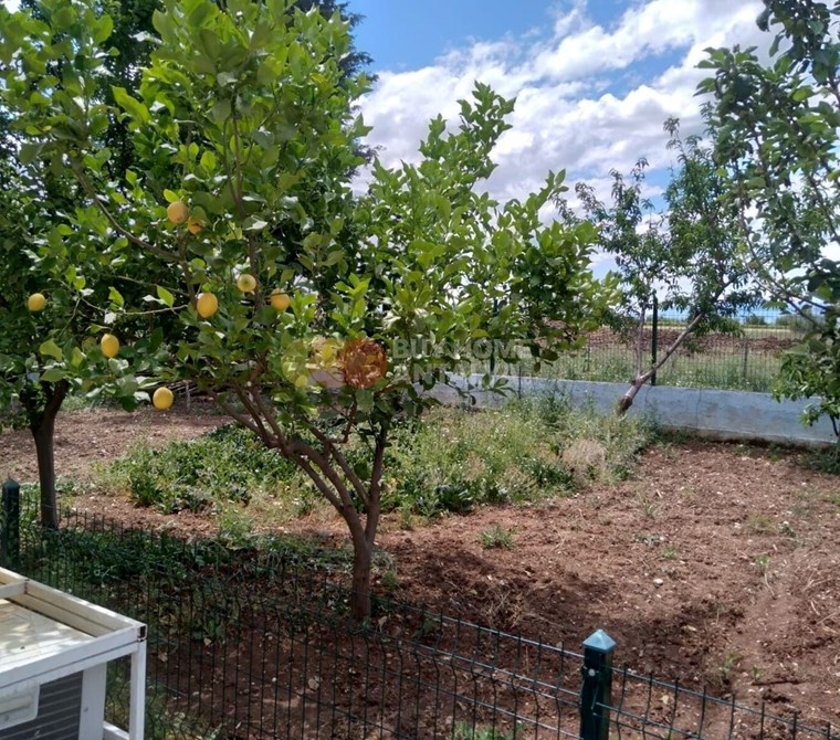 Detached Villa and Fruit Garden for Sale in Antalya Döşemealtı Close to the River and Highway