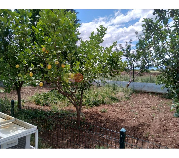 Detached Villa and Fruit Garden for Sale in Antalya Döşemealtı Close to the River and Highway