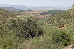 recent-property