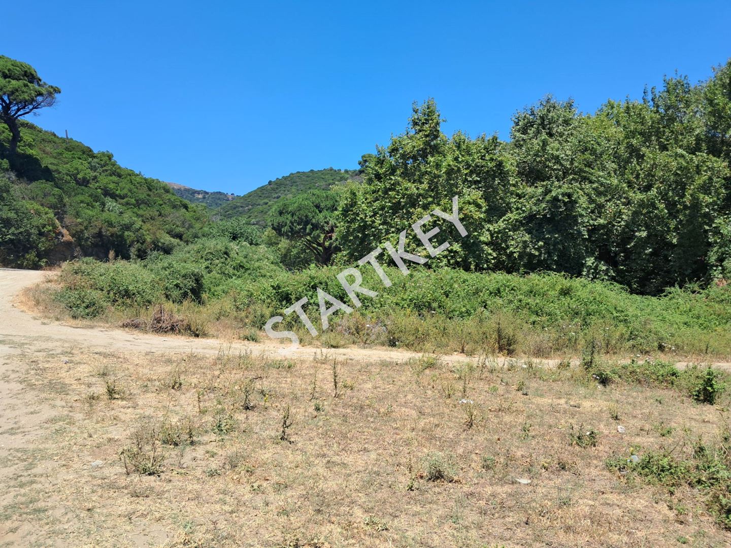 Property-photo