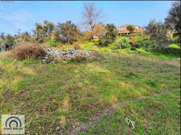 Property-photo