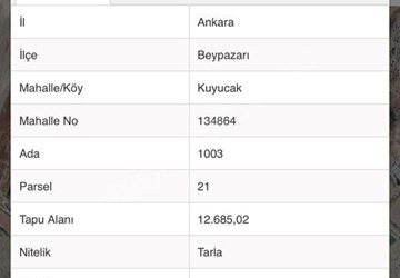ALTINEMLAK BEYPAZARI PRESTİJ'DEN SERA YANI PROJELERE UYGUN TARLA