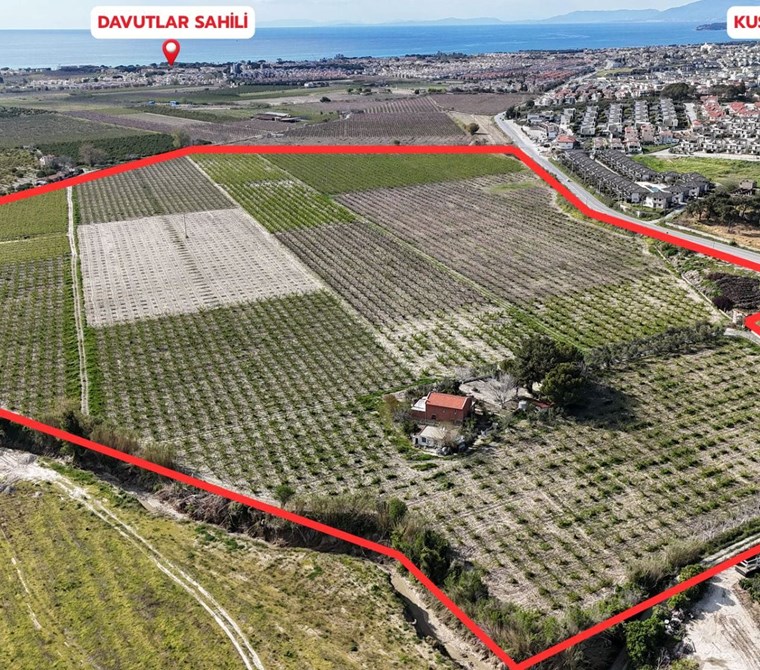REALTY WORLD EFES'TEN DAVUTLAR'DA 203 DÖNÜM SATILIK TARLA!