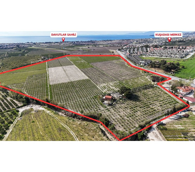 REALTY WORLD EFES'TEN DAVUTLAR'DA 203 DÖNÜM SATILIK TARLA!