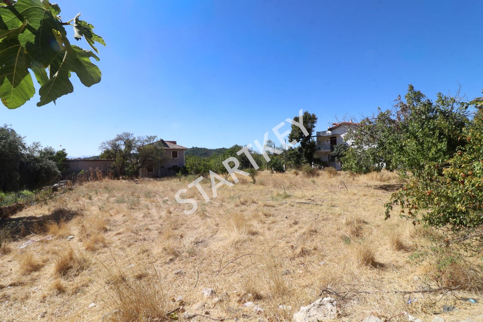 Property-photo