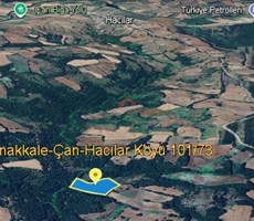 ÇANAKKALE ÇAN HACILAR KÖYÜNDE SATILIK 10 DÖNÜM CEVİZLİK