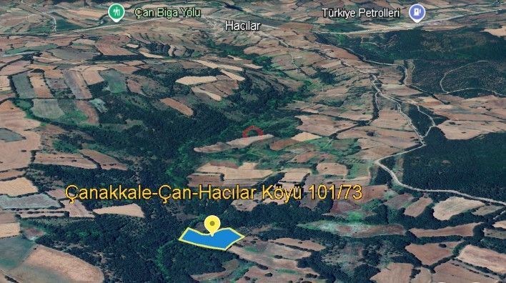ÇANAKKALE ÇAN HACILAR KÖYÜNDE SATILIK 10 DÖNÜM CEVİZLİK