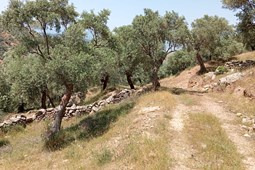 recent-property
