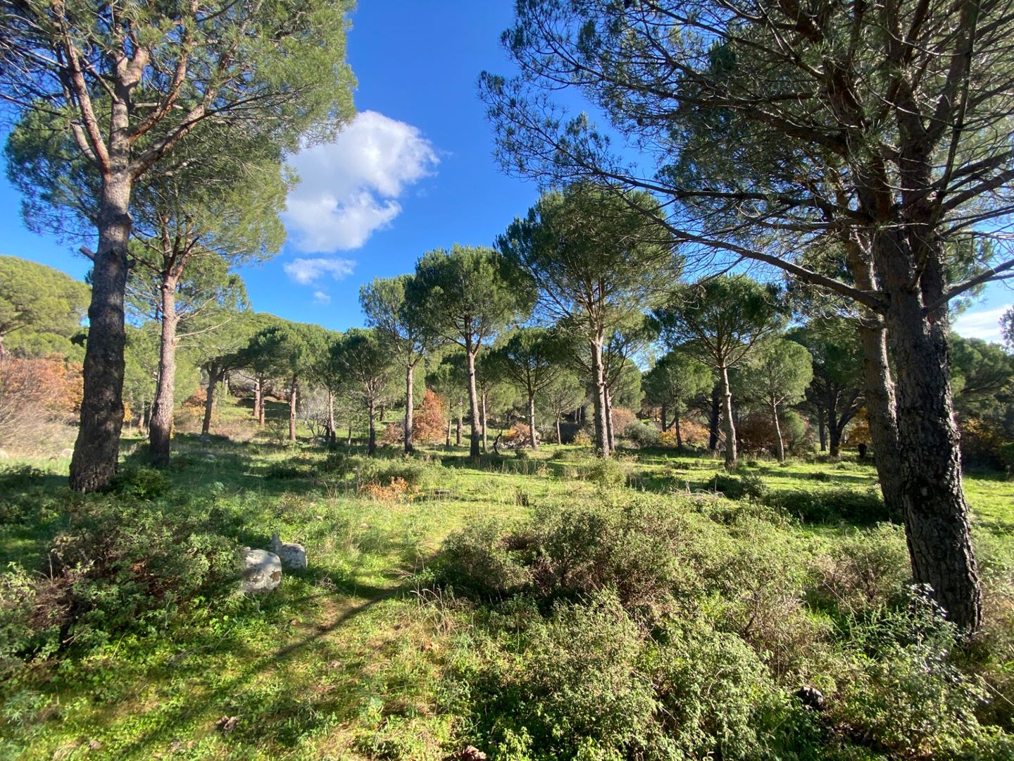 Property-photo